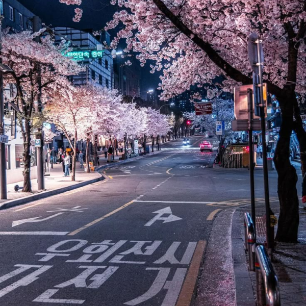 TOUR DU LỊCH SEOUL - XỨ SỞ KIM CHI